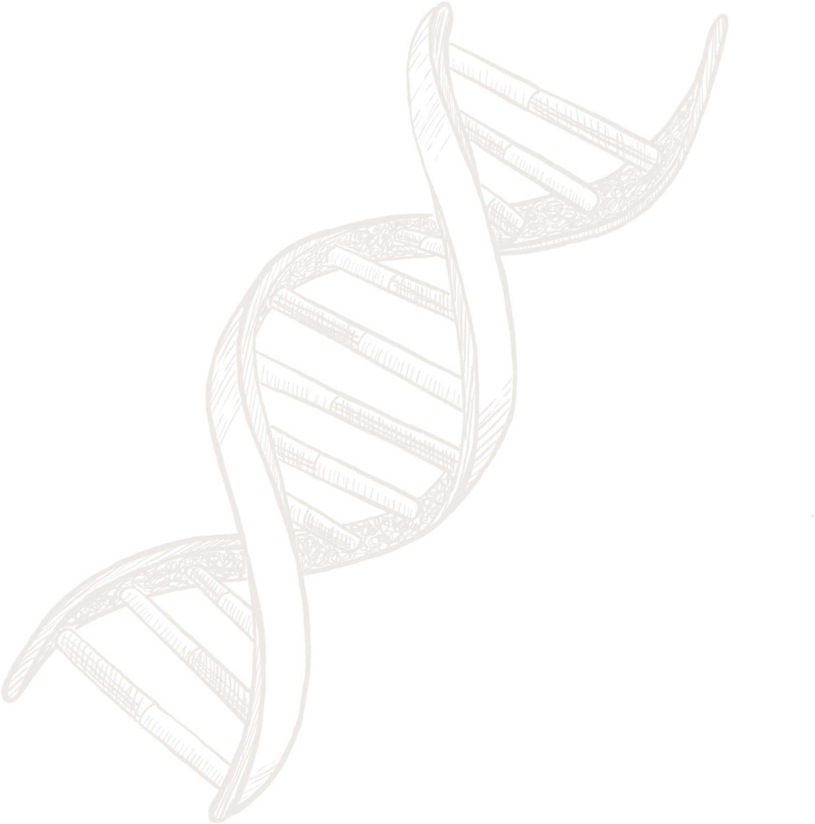 identify-gem-and-clay-interior-design